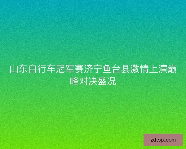山东自行车冠军赛济宁鱼台县激情上演巅峰对决盛况 山东自行车冠军赛济宁鱼台县激情上演巅峰对决盛况